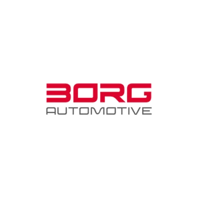 ATZ Group customer: BORG Automotive logo